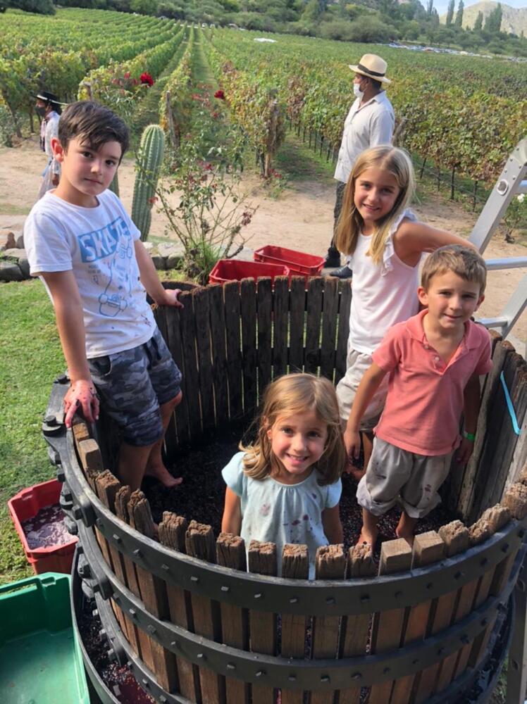 La Vendimia 2021 en Finca Las Nubes (3)