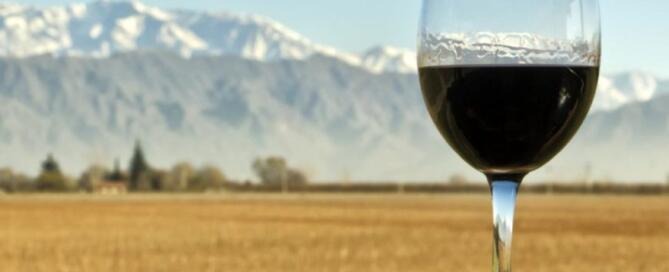 Malbec Argentino - el varietal más exportado de Argentina