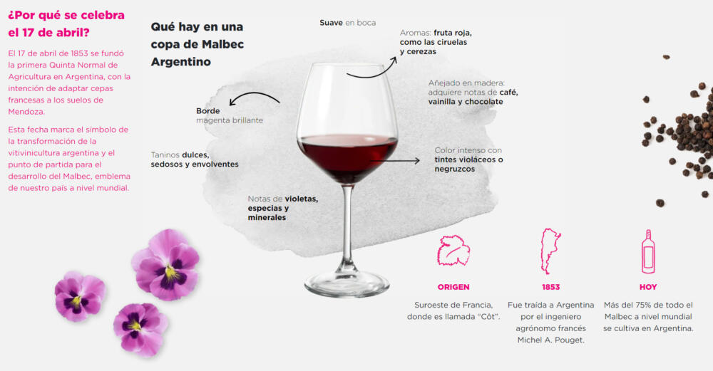 Malbec Argentino - el varietal más exportado de Argentina
