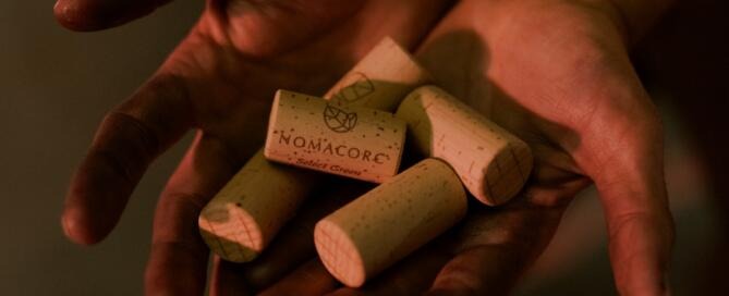 Vinventions invierte un millón y medio de dólares en su planta productora en la provincia de San Juan (2)