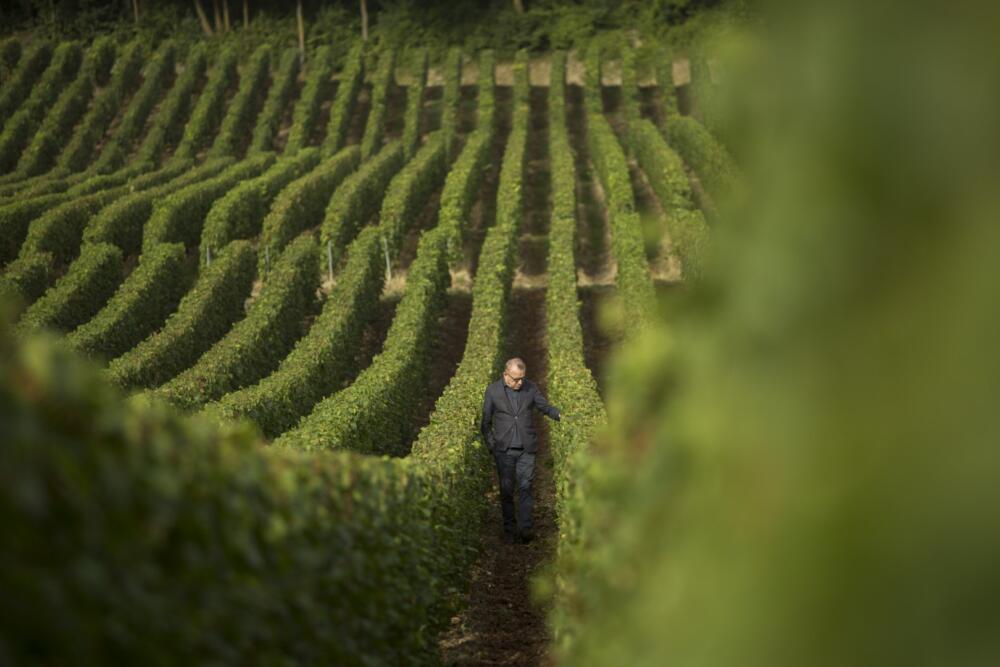 Prix de Baron B Édition Cuisine
