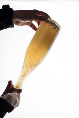 Nuevo Cruzat Pet Nat Chardonnay 2021 (2)