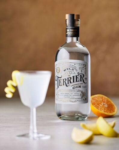 Casa Tapaus presenta Gin Terrier (2)