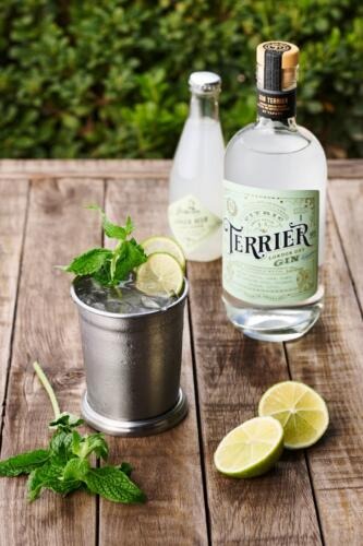 Casa Tapaus presenta Gin Terrier (2)