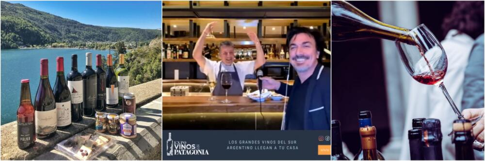 Llega la 2ª edición virtual de Expo Vinos de la Patagonia (1)