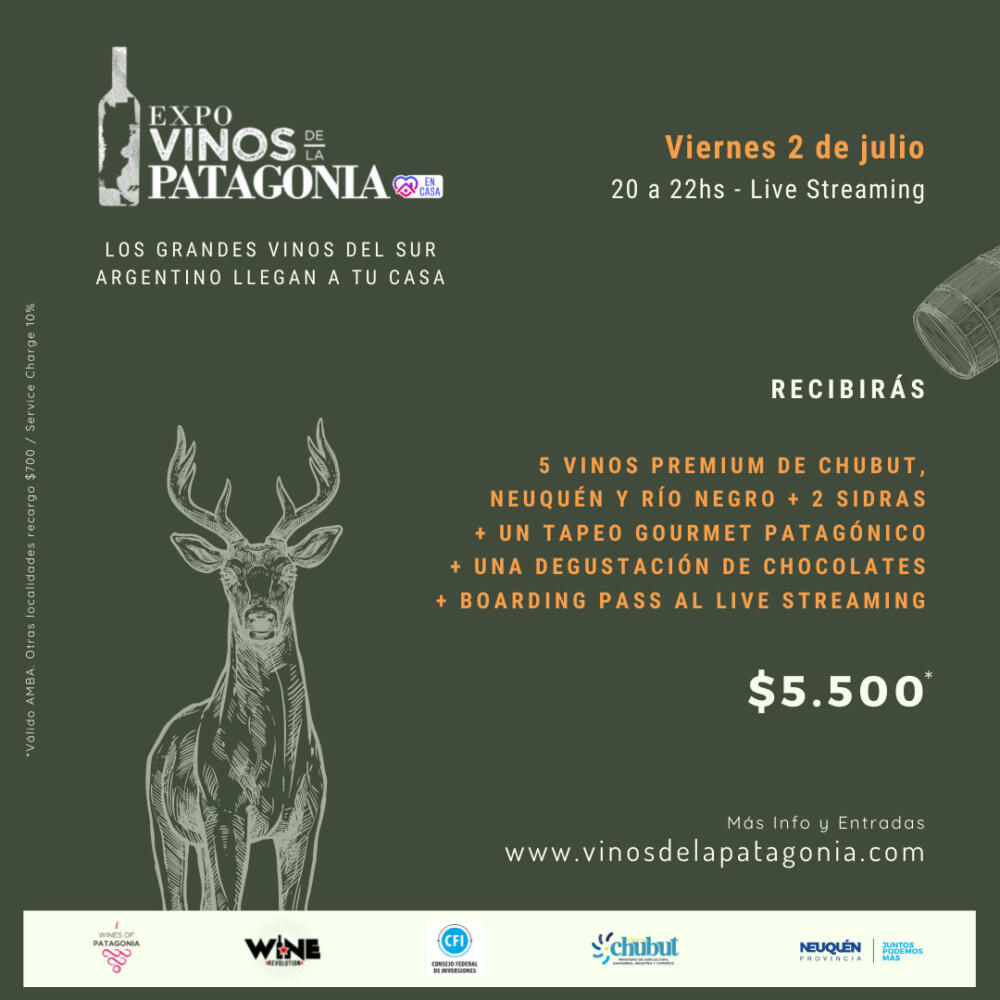 Llega la 2ª edición virtual de Expo Vinos de la Patagonia (1)