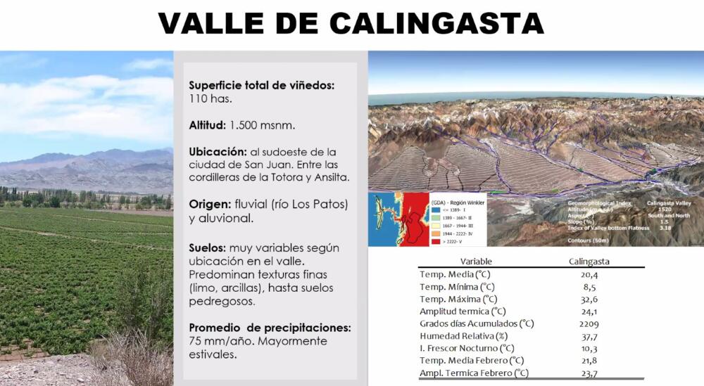 El Valle de Calingasta