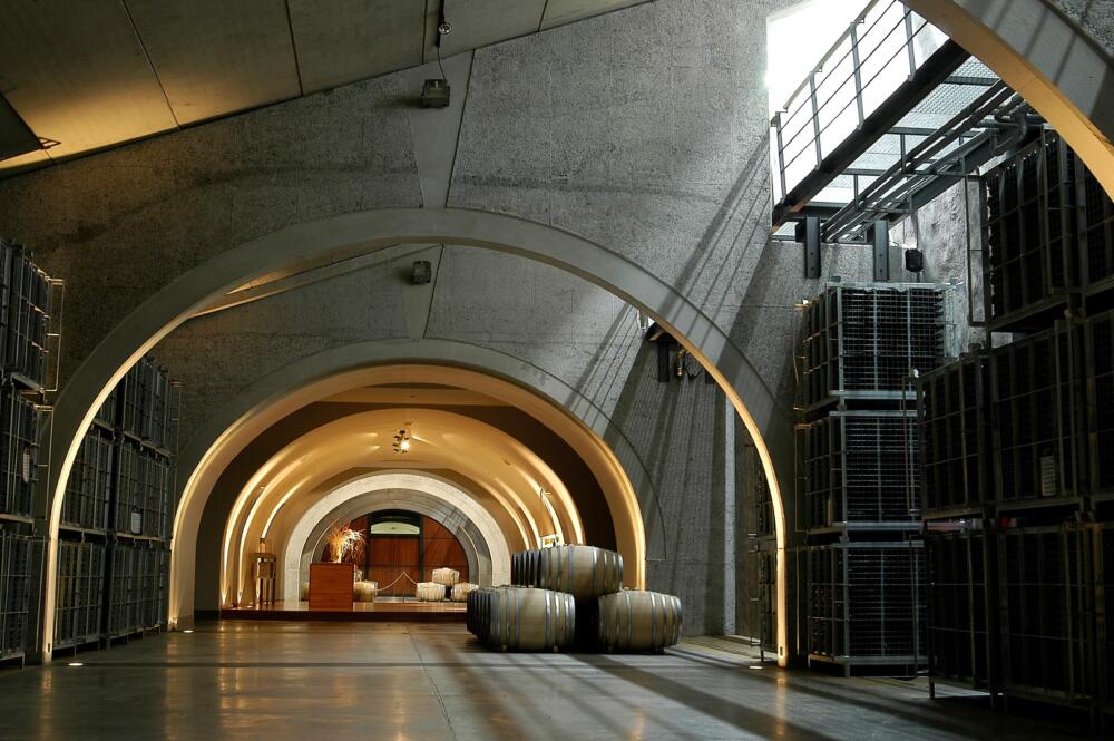 Bodega Malma es la primera bodega de la Patagonia en realizar la medición de la huella de carbono (3)