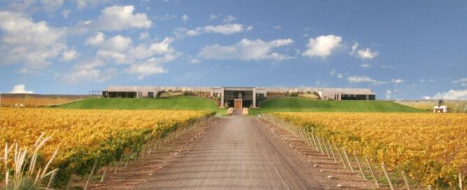 Bodega Malma es la primera bodega de la Patagonia en realizar la medición de la huella de carbono (3)