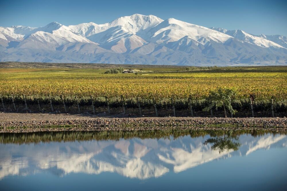 El Reporte de Cosecha 2021 de Bodega Doña Paula, por Martín Kaiser (1)