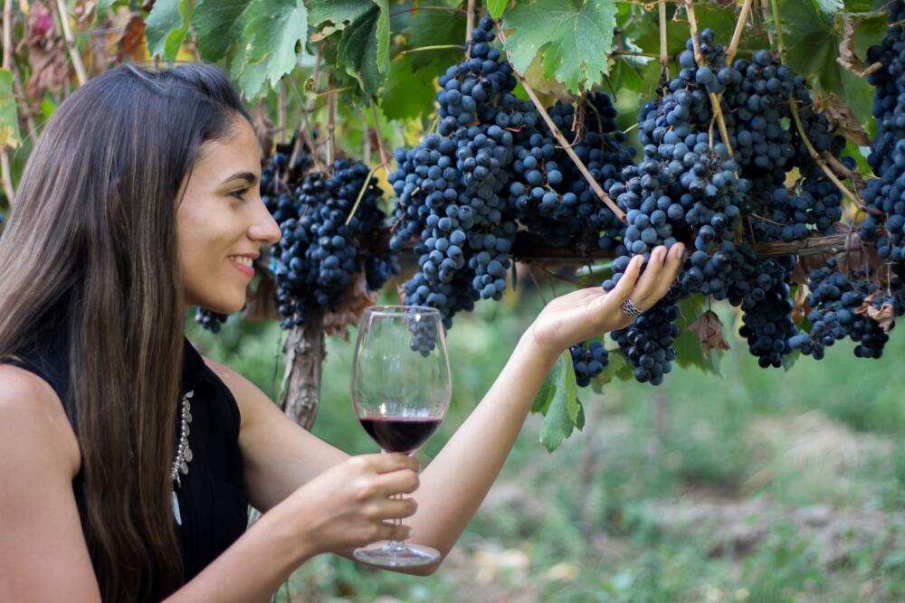 La Ruta del Vino Tucumano - bodega artesanal Chico Zossi - ruta 40