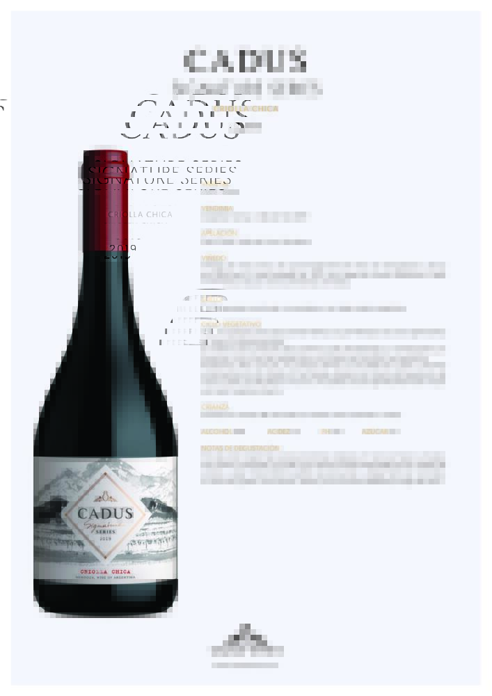 Uva criolla: un vino que continúa escribiendo su historia