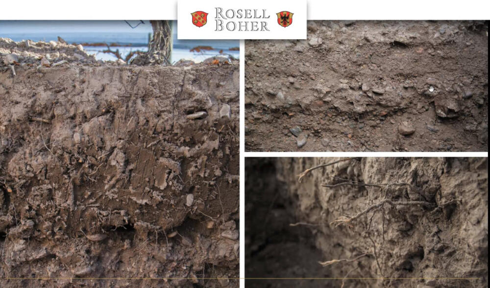 Calicata Alto Agrelo