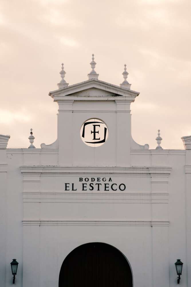 El Esteco celebra al Cabernet Sauvignon (3)