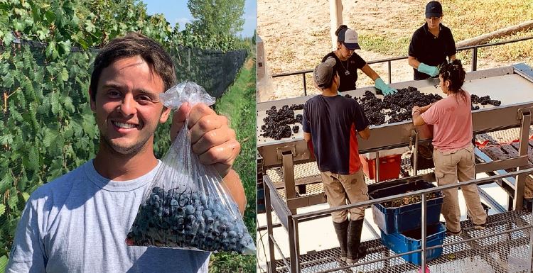 El Reporte de Cosecha 2021 de Karim Mussi