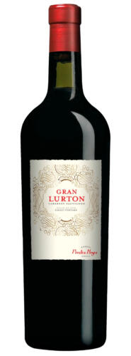 Gran Lurton Cabernet Sauvignon 2017 - Bodega Piedra Negra