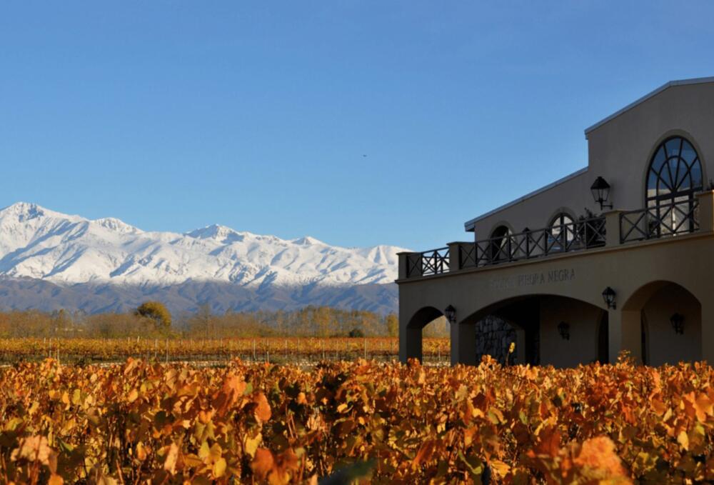 Gran Lurton Cabernet Sauvignon 2017 - Bodega Piedra Negra