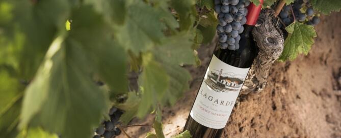 Lagarde Cabernet Sauvignon 2020