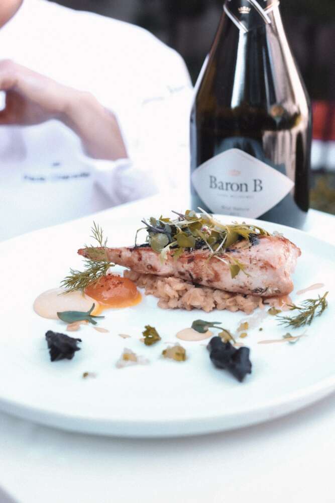 Plato Paula Chiaradia