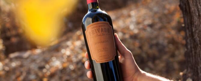 Privado Oasis Sur Bonarda