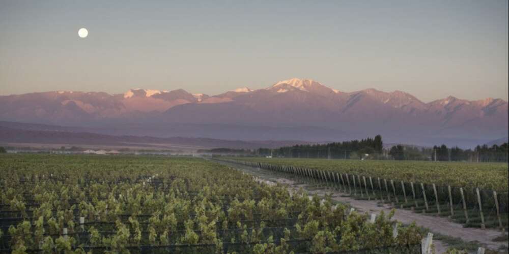 Chakana Sobrenatural Bonarda 2021