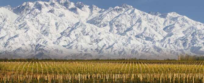 Domaine Bousquet se une como Miembro Fundador de Sustainable Wine Roundtable