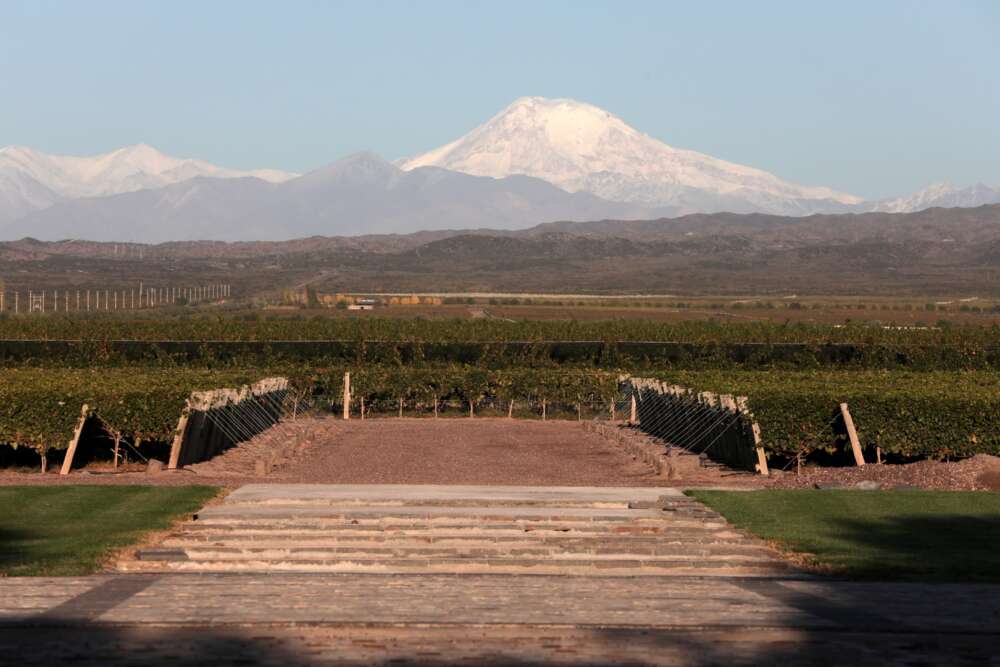 Pulenta Estate presenta su nuevo envase Pouch Up (1)