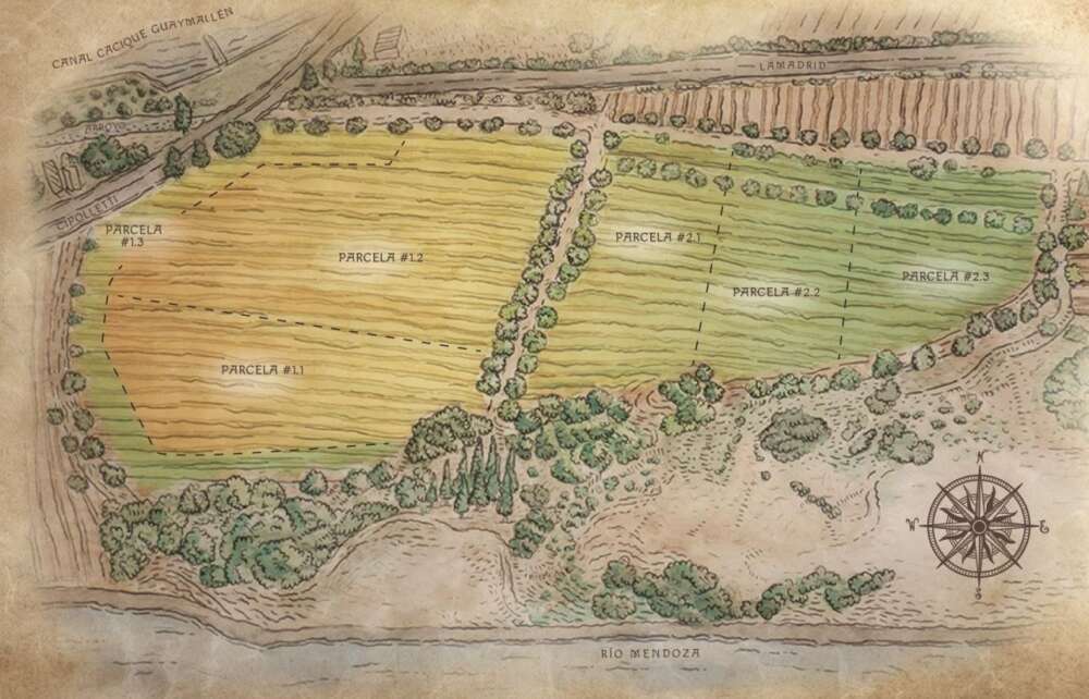 Parcelas del Viñedo Eolo