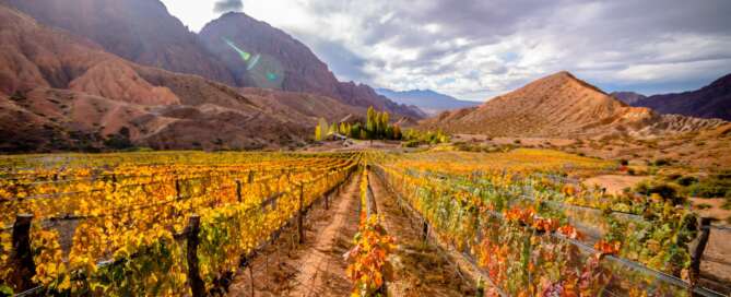 Blanc de Noir e Igneo 2019: las nuevas joyas de Estancia Uspallata 4 Estancia Uspallata Igneo 2019