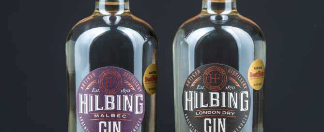 Hilbing - Día Mundial del Gin Tonic