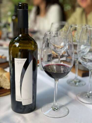 Humberto Canale & Lagarde Dos Cielos 2019, un blend de familias (1)