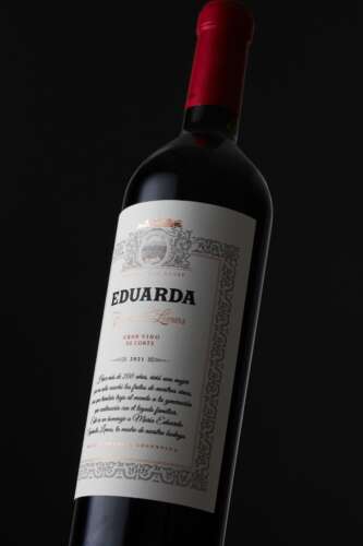 Eduarda, el homenaje de Navarro Correas a todas las Madres