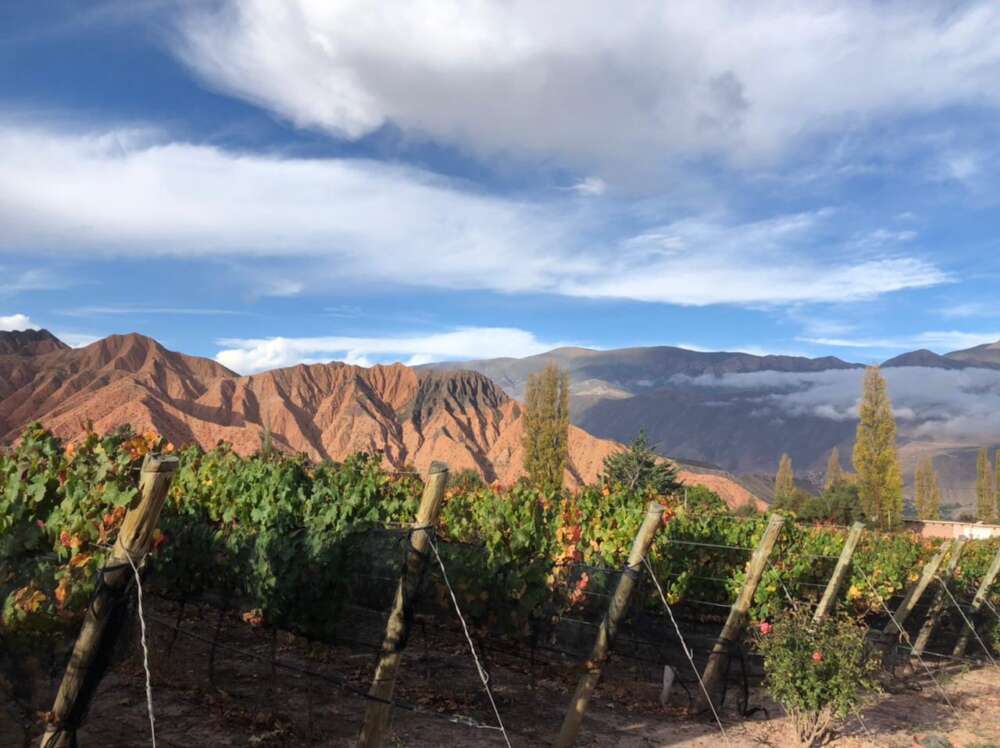 Cielo Arriba, Huichaira 1