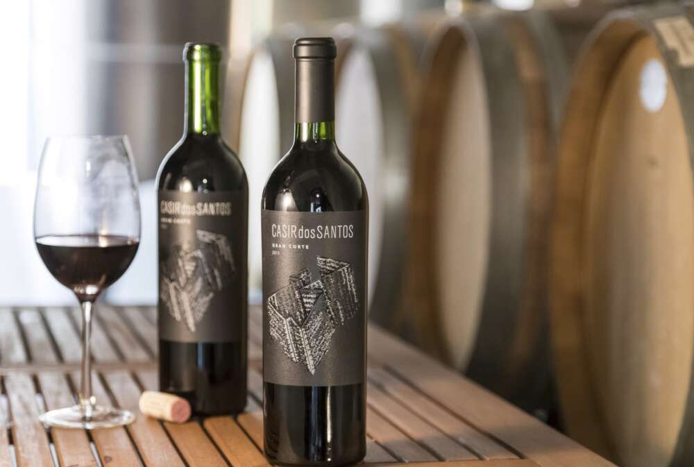 Julia Halupczok es la nueva Gerente General de Casir dos Santos (2)