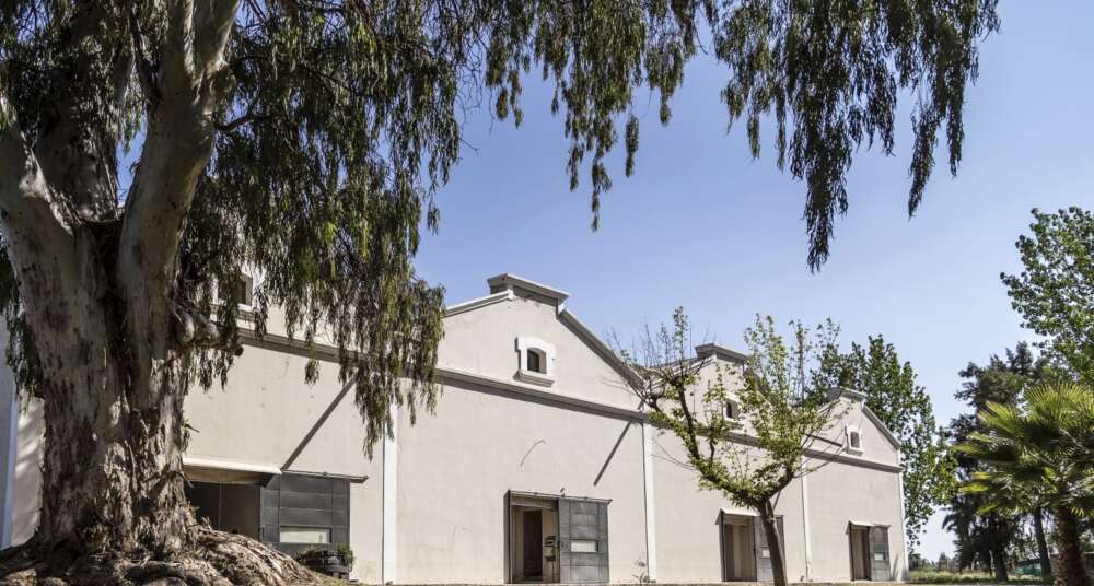 Julia Halupczok es la nueva Gerente General de Casir dos Santos (2)