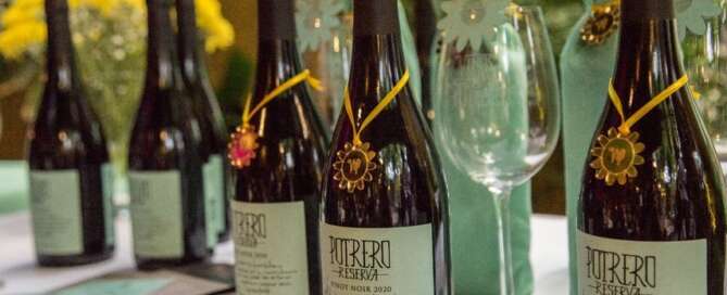 Potrero Reserva Pinot Noir 2020