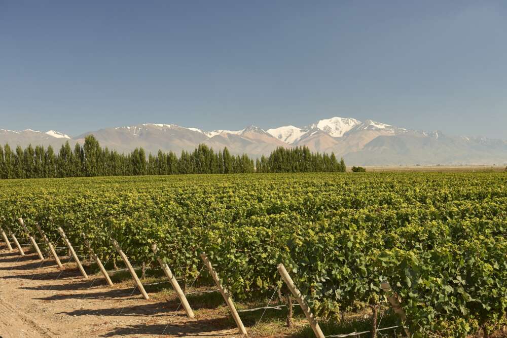 Terrazas de los Andes Parcel - Finca El Espinillo