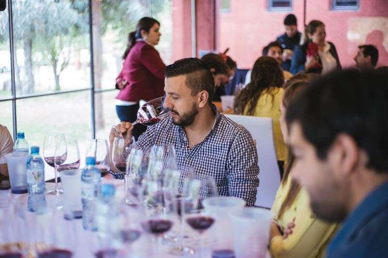 Llega Caminos del Vino Edición Patagonia