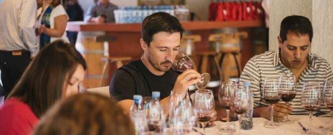 Llega Caminos del Vino Edición Patagonia