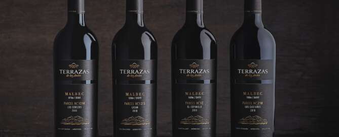 Terrazas de los Andes Parcel - Los Cerezos, Licán, Espinillo y Castaños