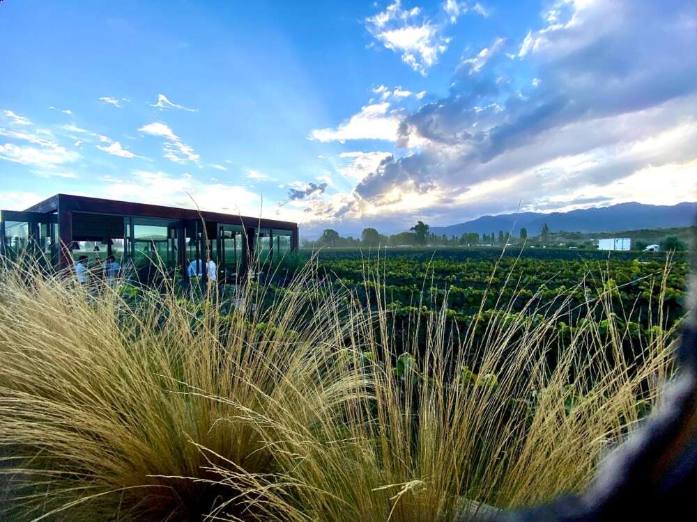 5 Suelos - Cocina de Finca (2)