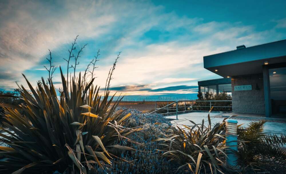 Familia Schroeder te invita a volver todos los días en Semana Santa 2022 3 Bodega Familia Schroeder (2)