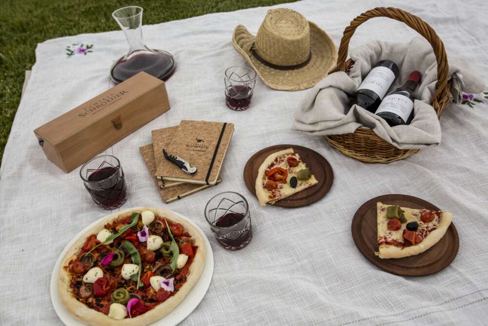 Familia Schroeder te invita a volver todos los días en Semana Santa 2022 4 Bodega Familia Schroeder - Pic Nic 3