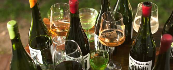 Festival Feriado - Vinos y Gastronomía en Caballito