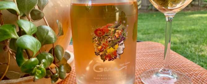 Gaia Pinot Noir Rosé 2021 - Un nuevo Homenaje de Domaine Bousquet a la Madre Tierra 1 Gaia Pinot Noir Rosé 2021 - Un nuevo Homenaje de Domaine Bousquet a la Madre Tierra