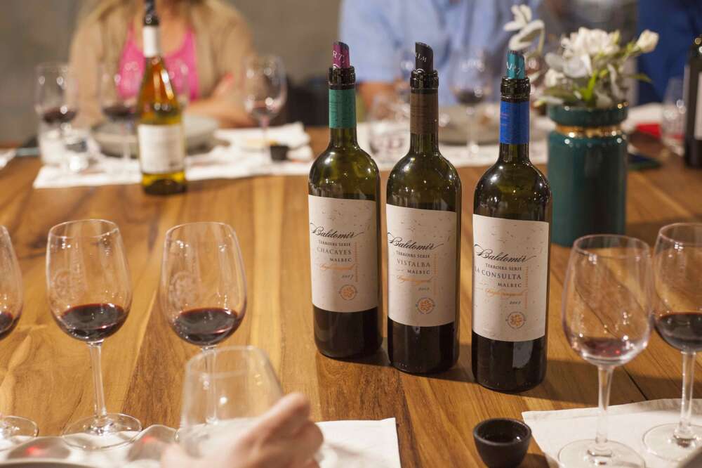 Martino Wines abre al Turismo