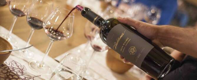 Martino Wines abre al Turismo