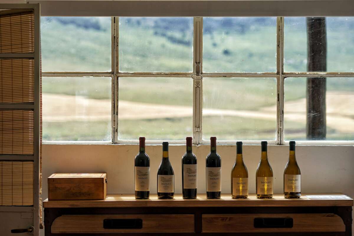 Los vinos de Bodega Puerta del Abra