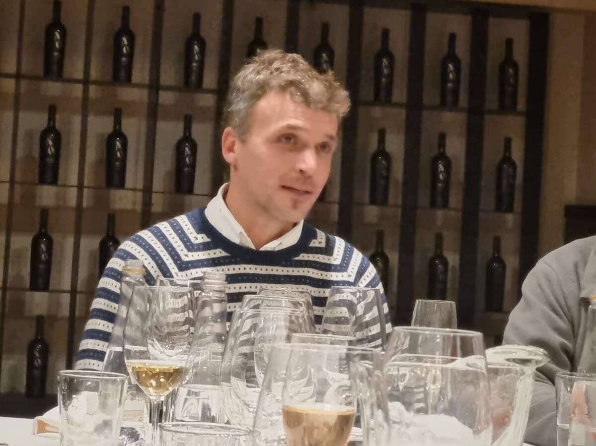 Llegaron al mercado las nuevas añadas de la familia Casa Boher (3)