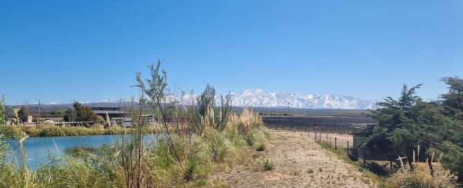 Bodega Argento presentó MatrizViva
